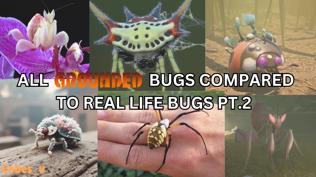 ALL GROUNDED BUGS COMPARED TO REAL LIFE BUGS UPDATED/ PT. 2!? | 2024 |