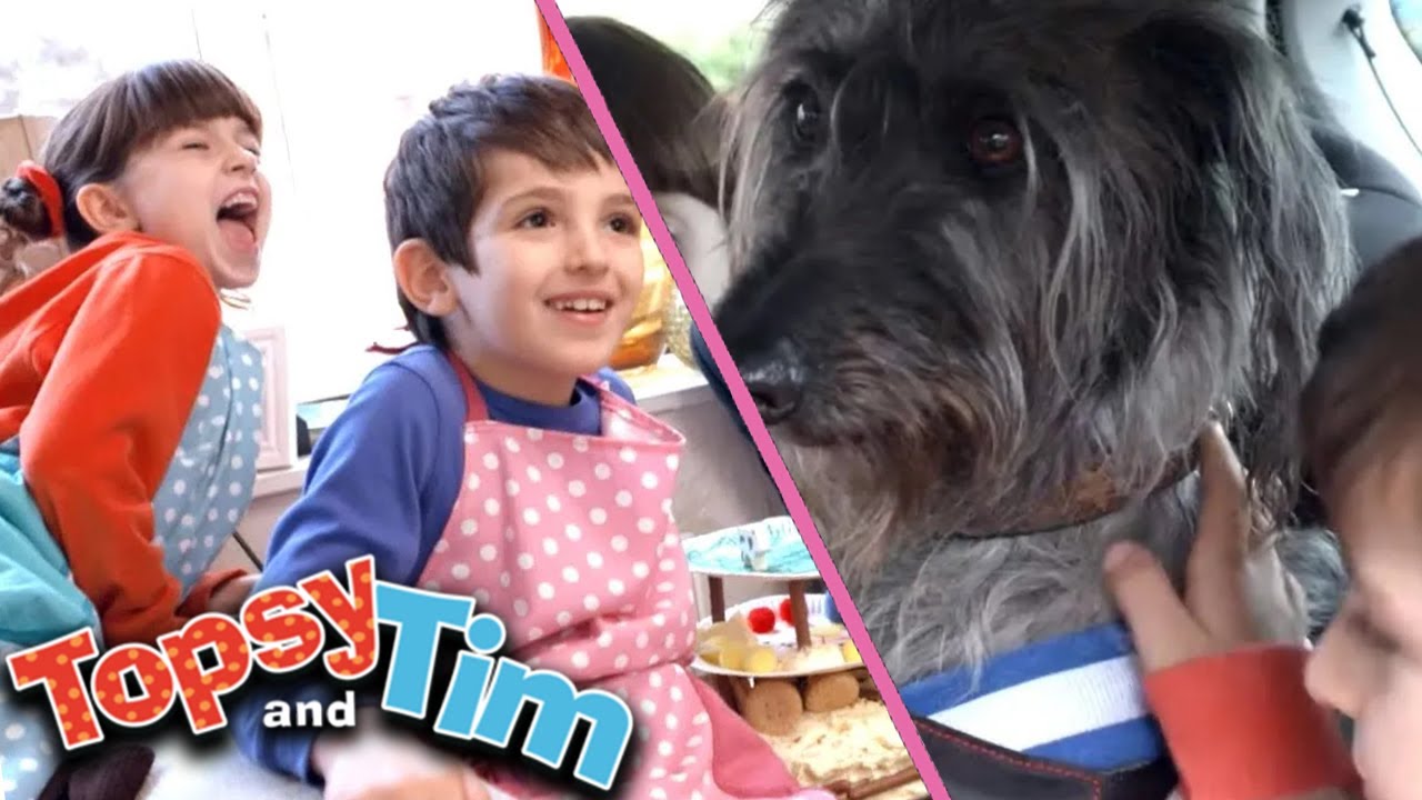 Topsy & Tim - Dzień psa! | Pełna kompilacja odcink&oacute;w | Programy dla dzieci | HD