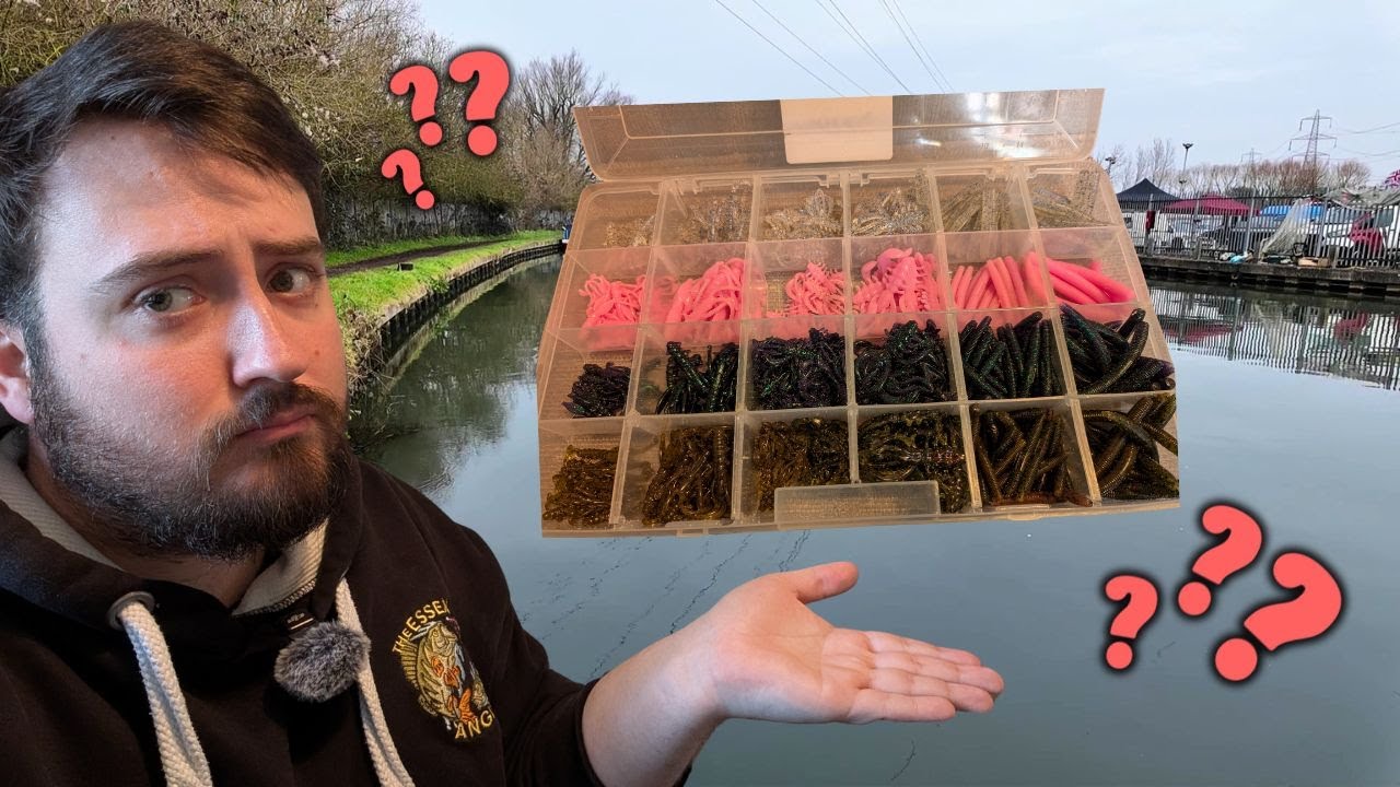 Catch More Perch: Beginners Guide to Lure Colours
