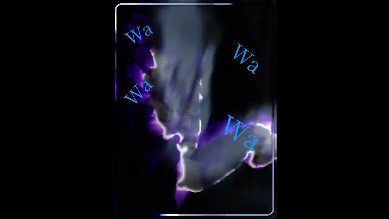 wa wa wa