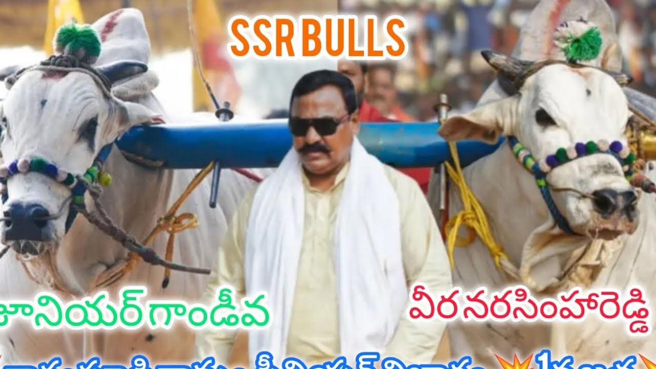 చిలకలూరిపేట గ్రామం సీనియర్  విభాగం 14వ జత