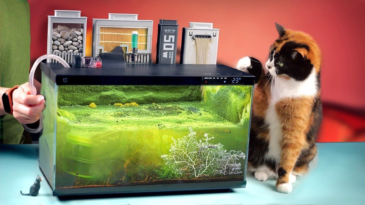 AQUARIUM FROM THE FUTURE - 240 DAYS LATER