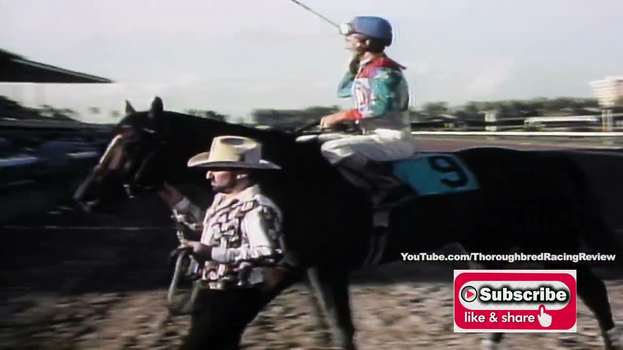 1995 GULFSTREAM PARK HDCP  CIGAR GOES TO HEAD OF CLASS