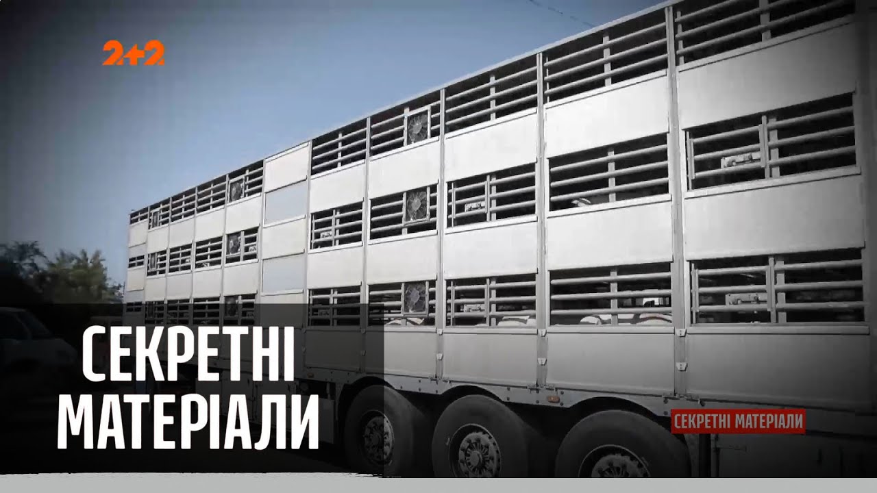 Мясокомбинат терроризирует окружающие села: ужасный запах и озеро отходов – Секретные материалы