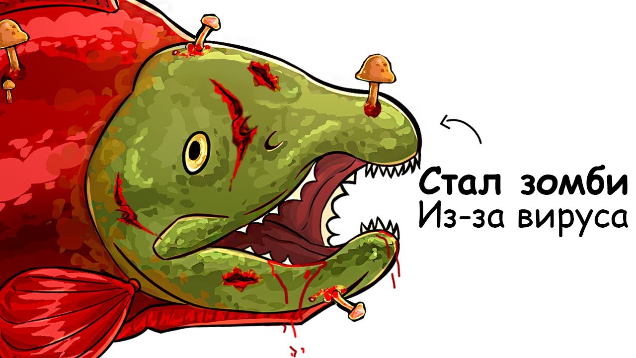 Ты &ndash; Лосось (И ЭТО ВСЯ ТВОЯ ЖИЗНЬ)