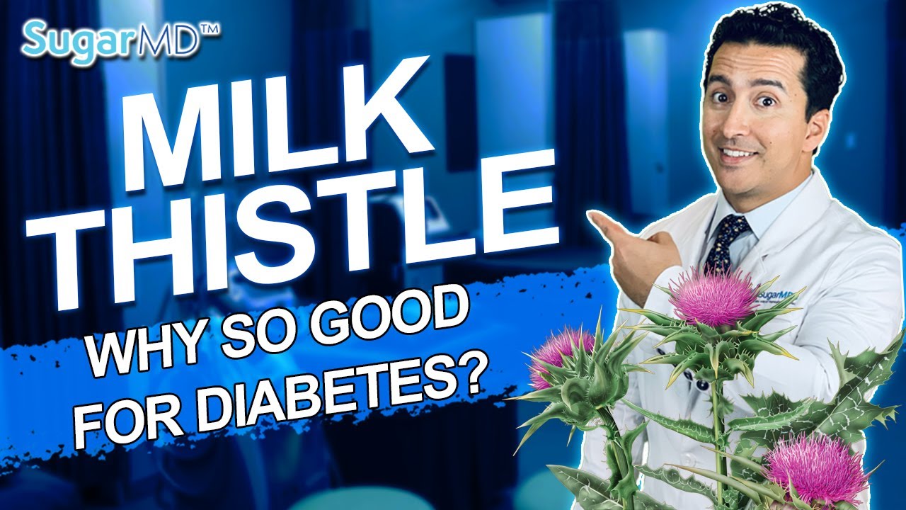 Milk Thistle: Top Benefits for Diabetics You Must Know! SUGARMD