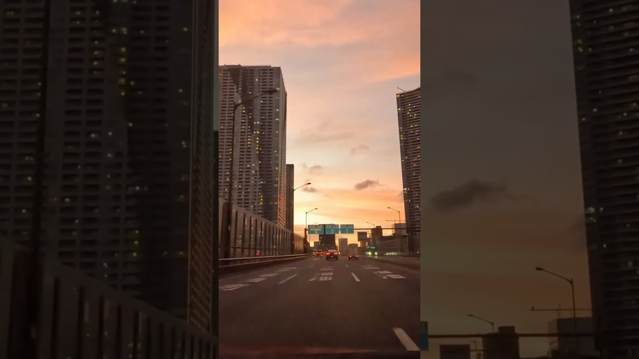 🚗🌙 Japan Drive in Tokyo 東京ドライブ 有明 2025年7月 夜 