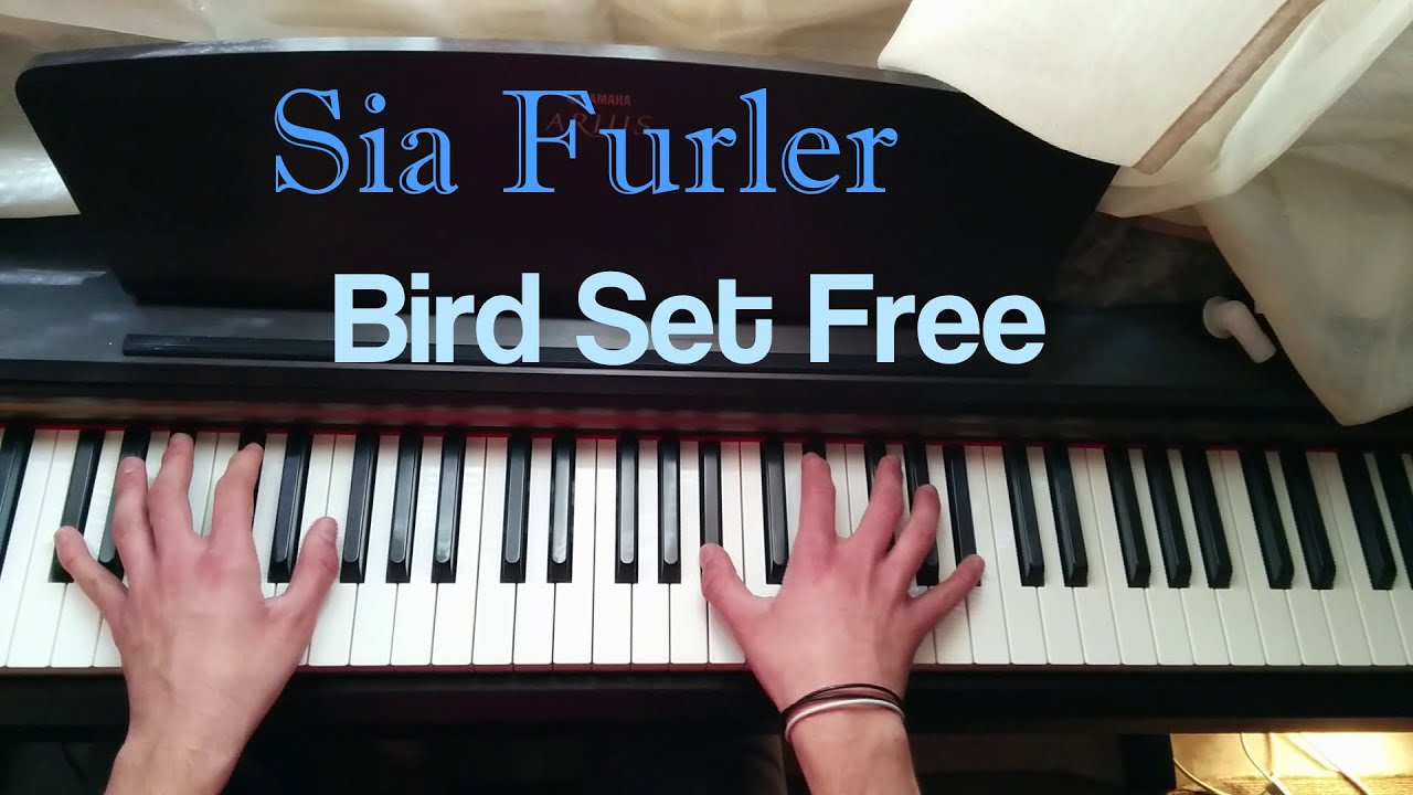 Sia - Bird Set Free (Piano Cover)