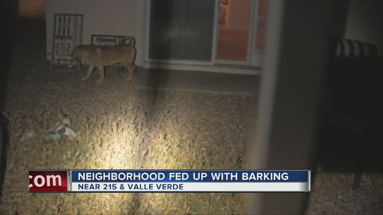 Henderson neighborhood fed up with dog's barking