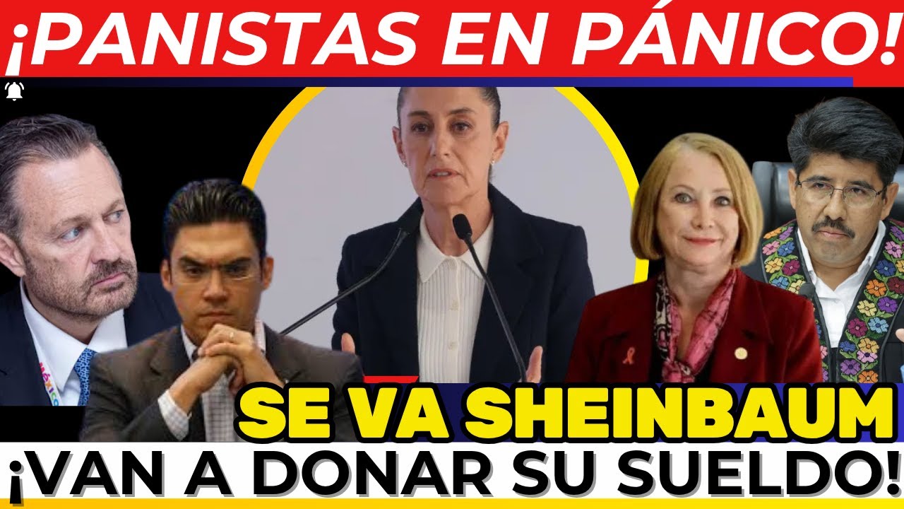 &iexcl;SALE SHEINBAUM A VIGILARLOS! PANISTAS HUYEN. LA CORTE SUELTA LA LANA
