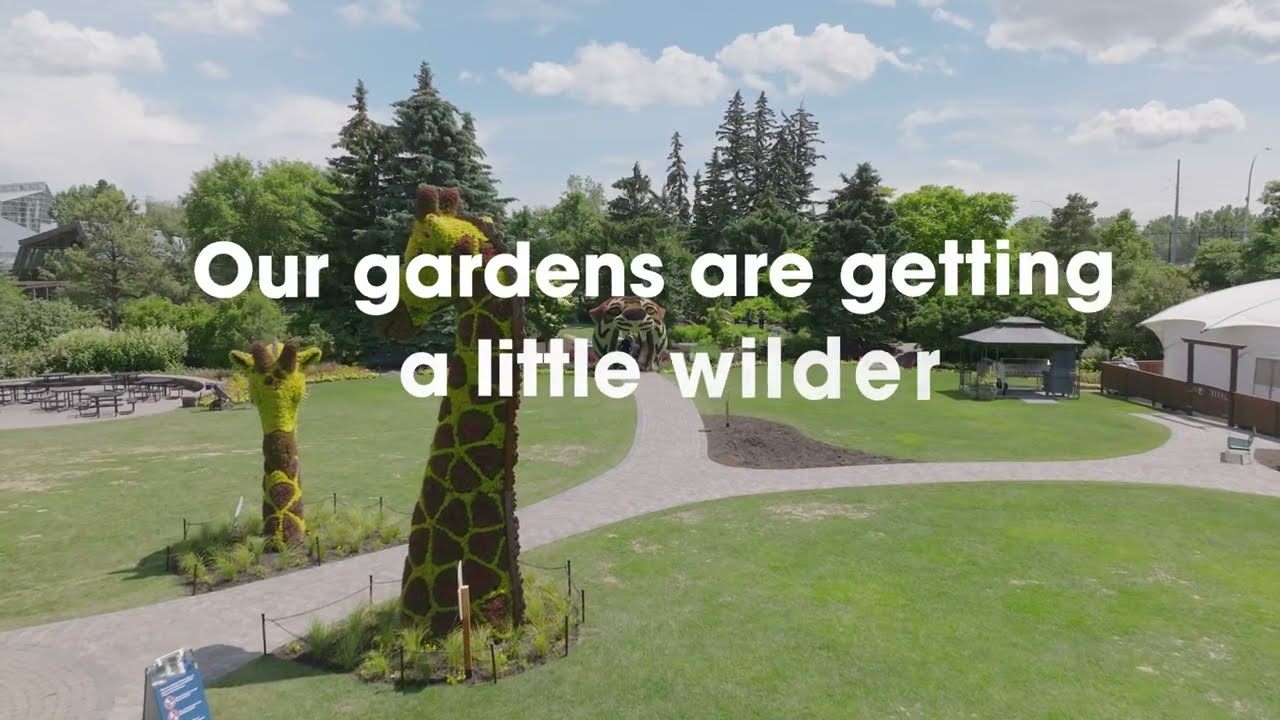 WildScapes at the Wilder Institute/Calgary Zoo