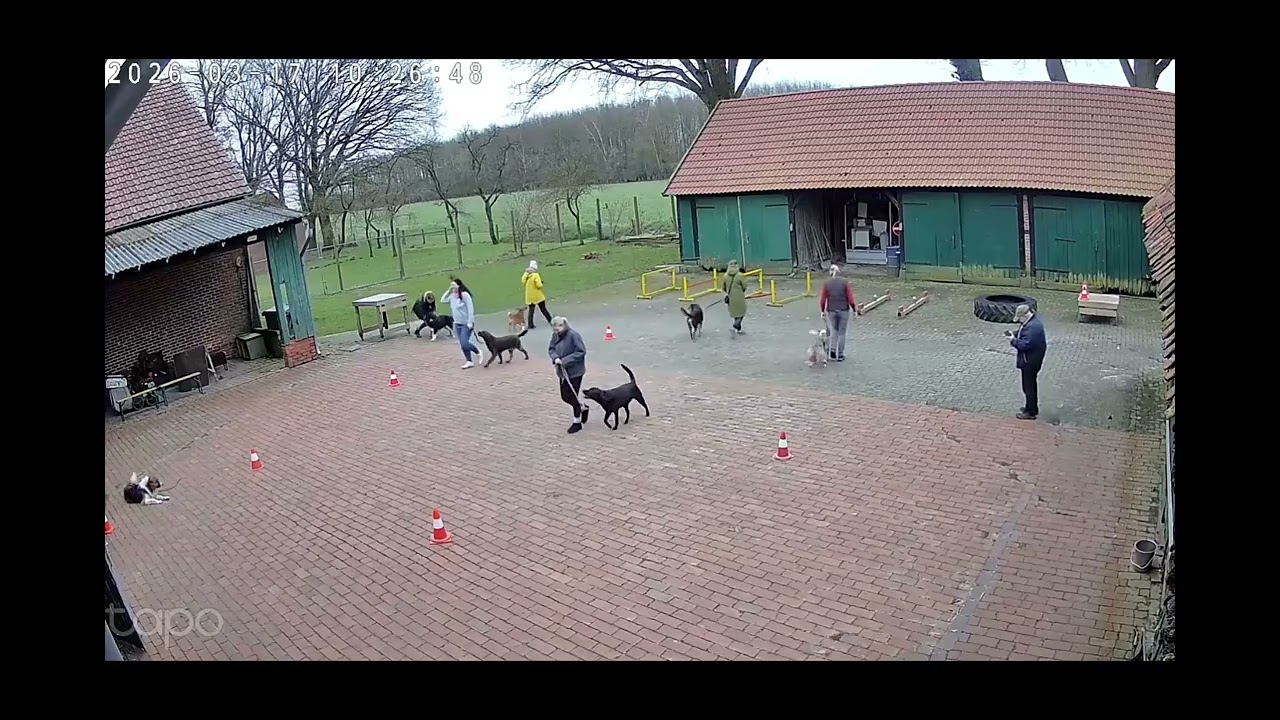 Hundeschule Wolf und Co am 17.März.2026 #hundepension #hundeschule #hundefutter