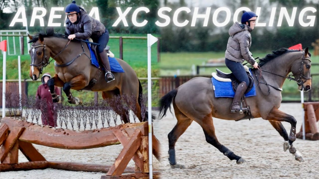 JUMPING INTO 2024 | Arena XC Schooling @Ballindenisk | Young Horse Training