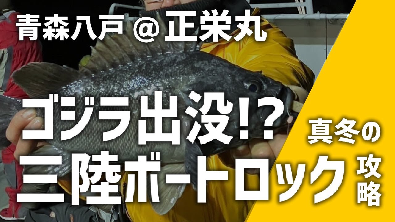 ソイ＆アイナメで最高に楽しめる！1月冬の三陸ボートロック攻略！＠正栄丸 青森八戸 ロックフィッシュ