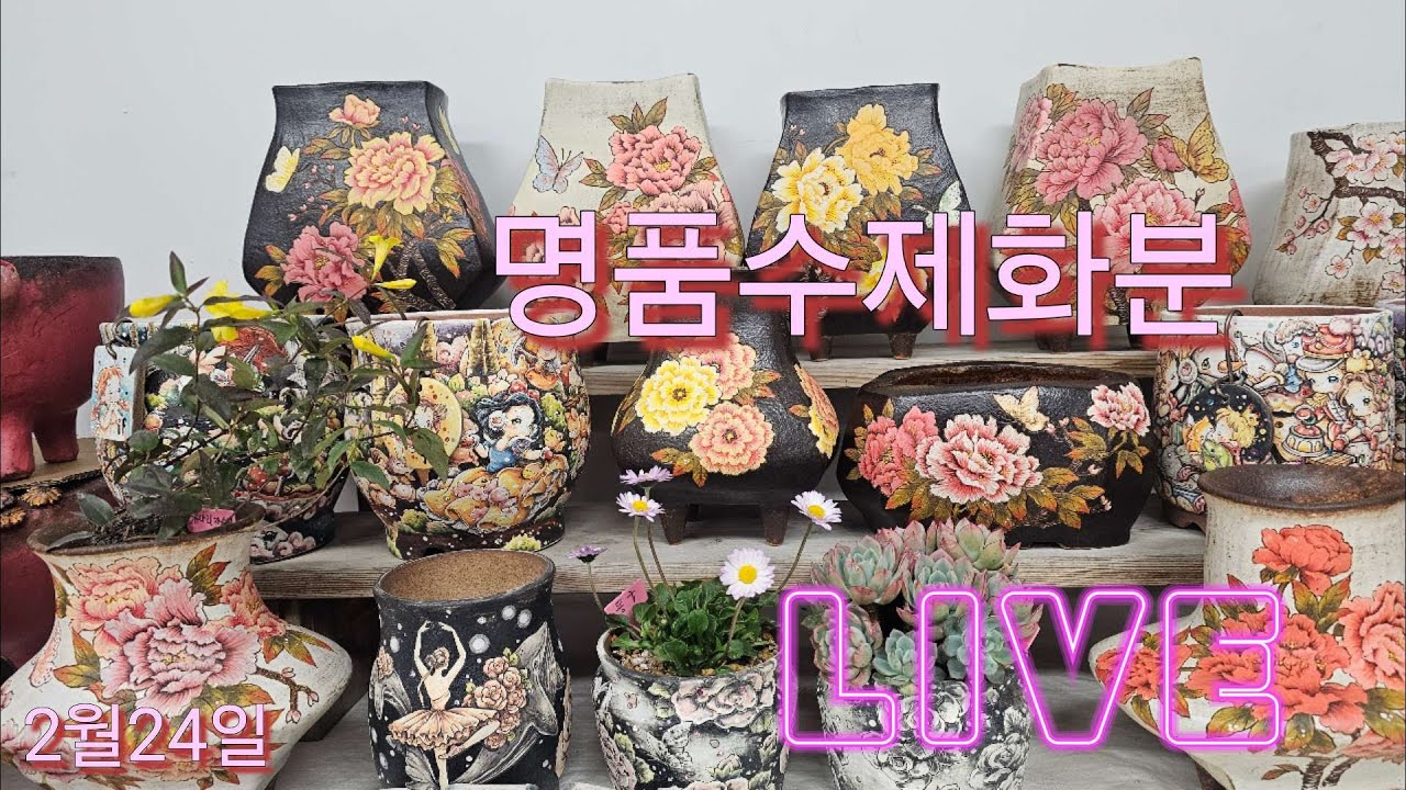 2월24일토끼네화분 실방합니다