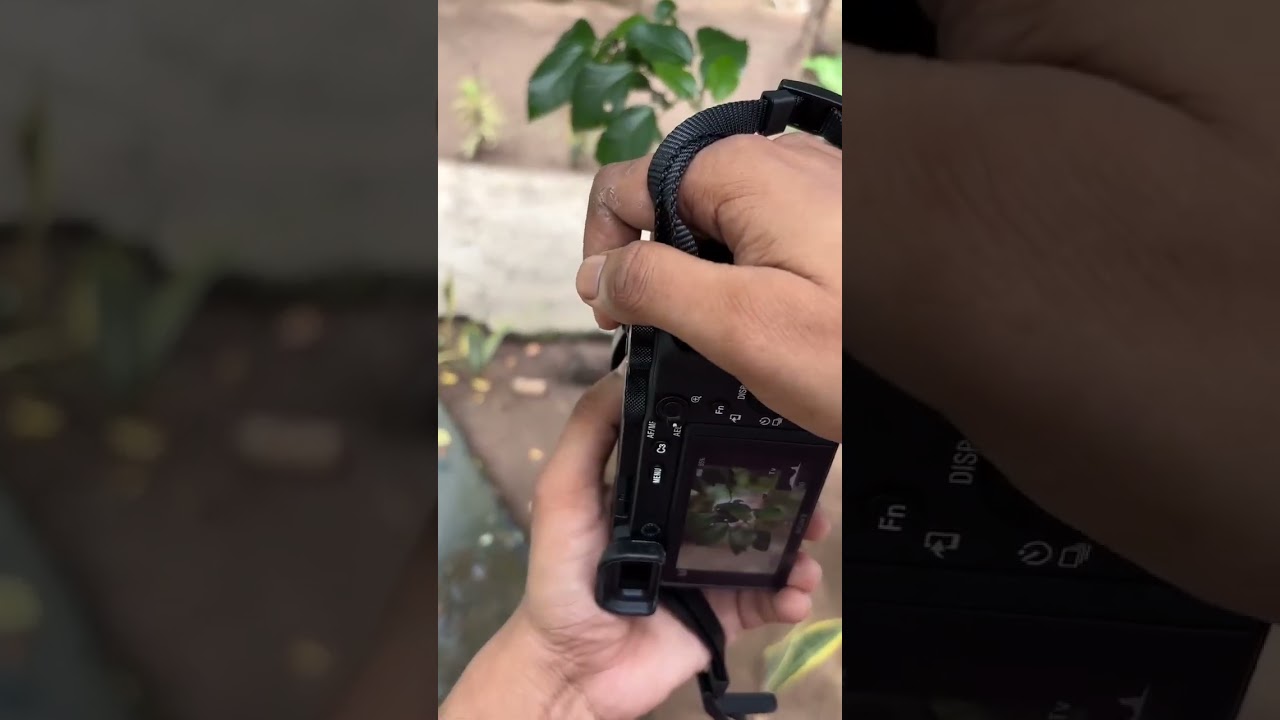 Sony A6600 + 30mm 1.4 Lens Photography Settings 📸😍 #photography