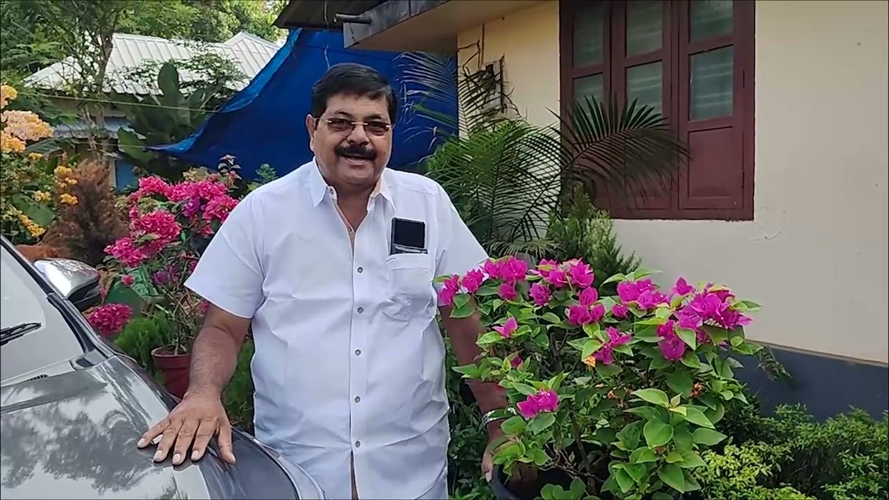 പൂനാ വെറൈറ്റി ബോഗൺവില്ല തൈകൾ വില്പനയ്ക്ക്...വിളിക്കൂ Mob : 94476 00658