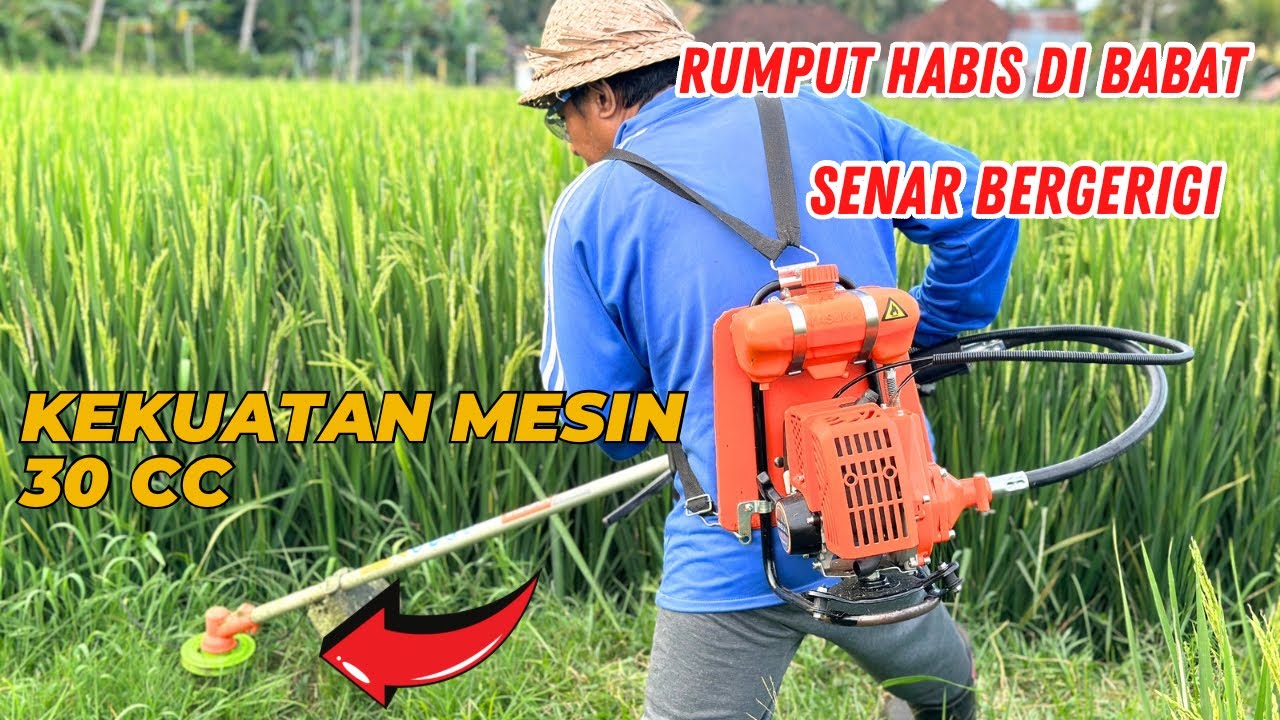 Kekuatan Mesin Rumput 30cc Pake Senar Bergerigi