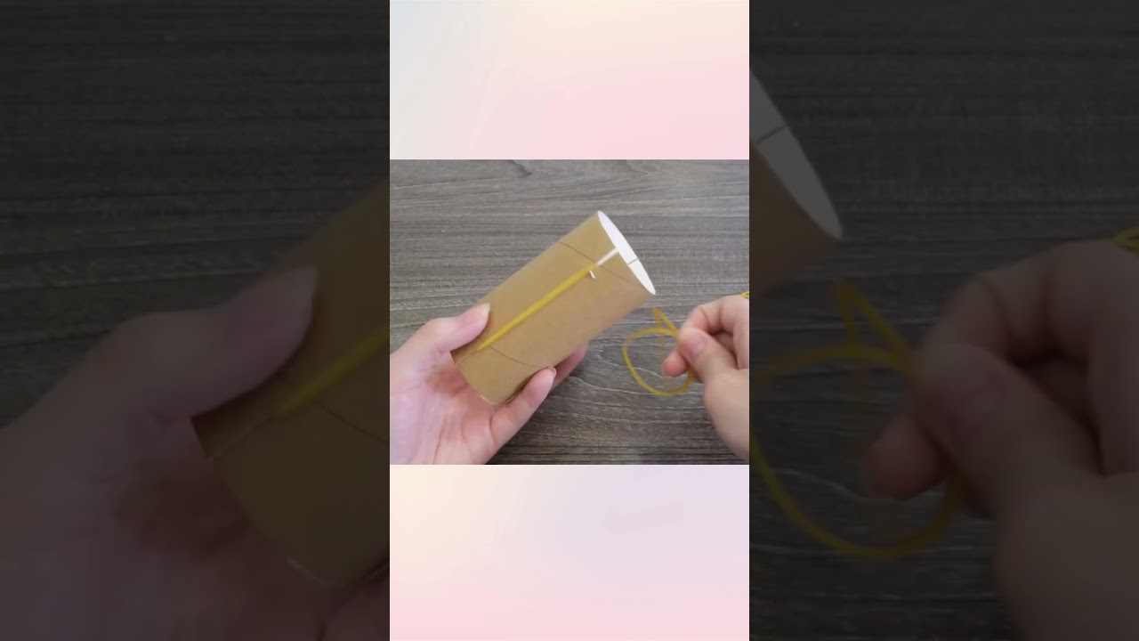 DIY Hacks with Toilet Paper Rolls | Cheap & Genius Life Tips You Need to Try