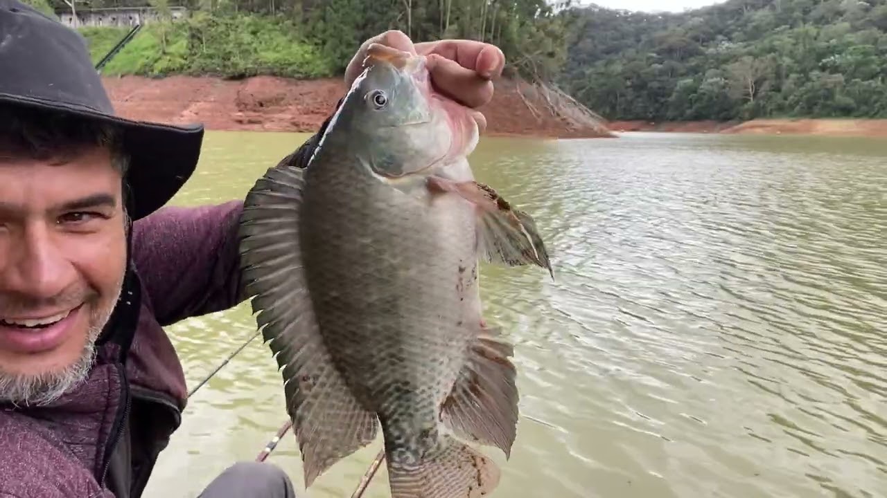 Pescaria de tilápia selvagem! Elas só queriam camarão nessa pescaria! 