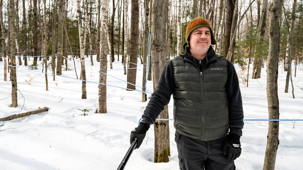 Accès restreint : cabane à sucre Érablilis