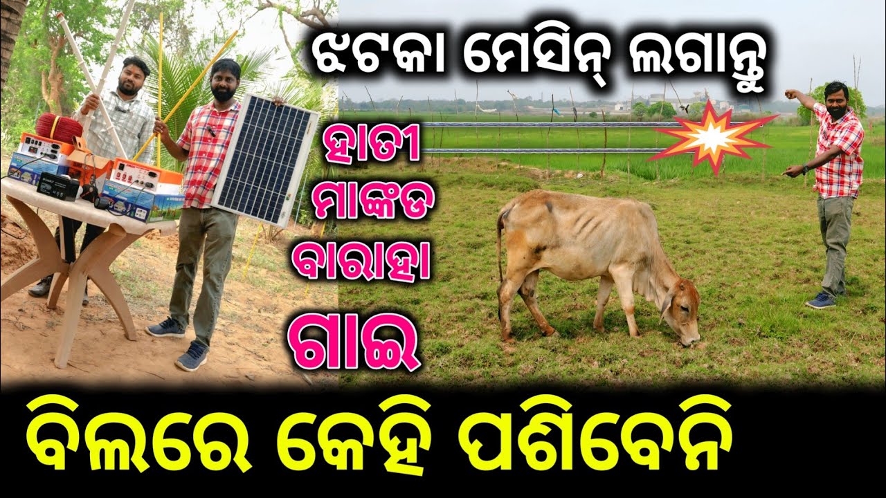 ଝଟକା ମେସିନର ଉପକାରିତା Live ଦେଖନ୍ତୁ ! Jhataka machine benefits for all formers