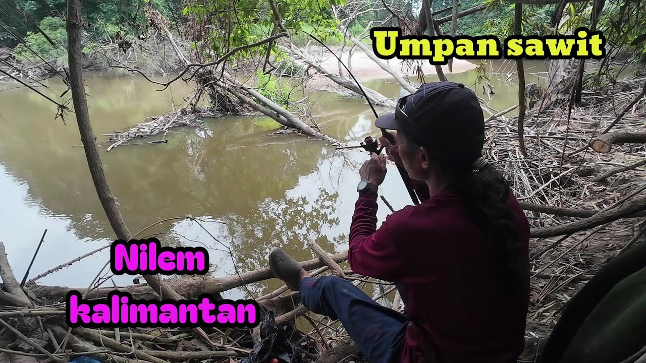 Hiburan setelah pulang kerja,mancing ikan nilem/melem spot dekat kayu tumbang