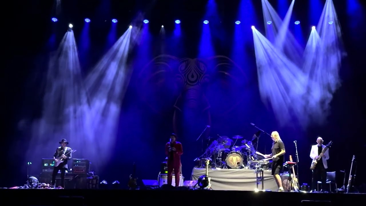 BEAT – Waiting Man Live at Nippon Budokan, Tokyo, Japan September 1, 2025