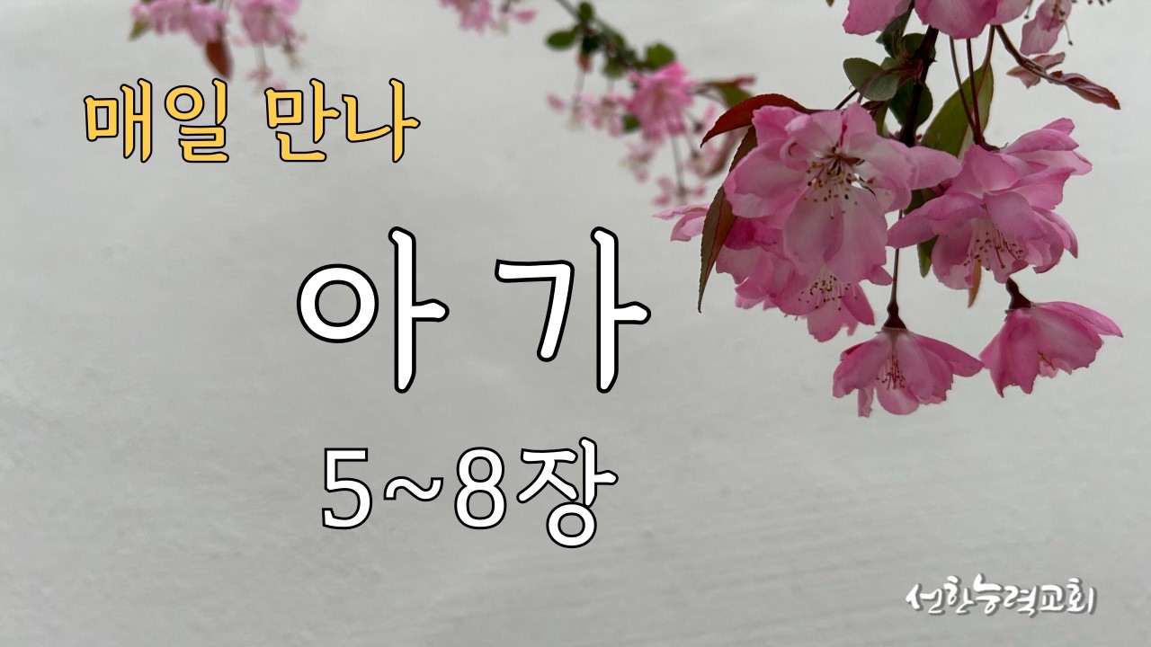 매일 만나