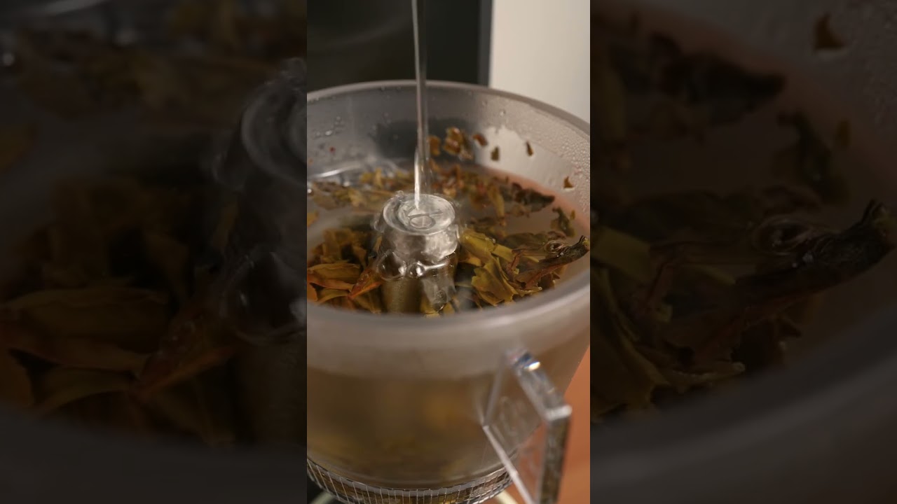 xBloom Studio Omni Tea Brewer