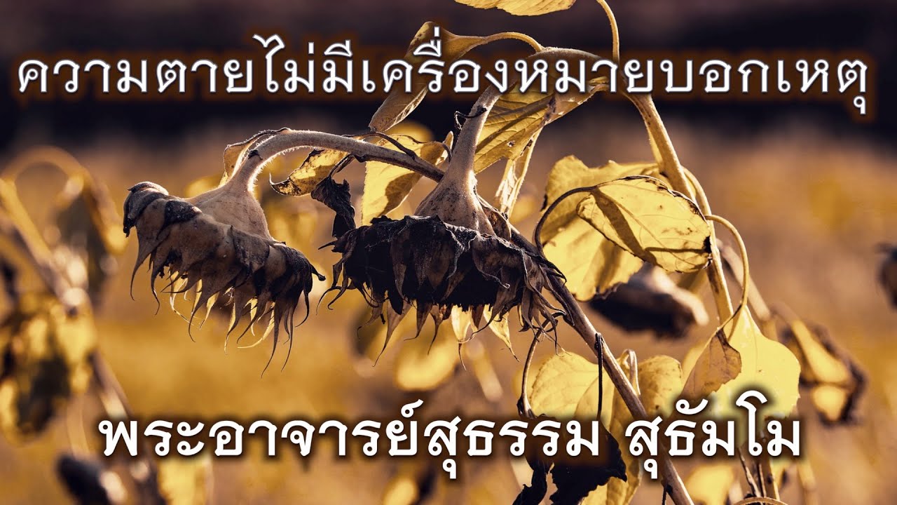 พระอาจารย์สุธรรม สุธัมโม | ความตายไม่มีเครื่องหมายบอกเหตุ วัดสวนดอกพระอารามหลวง ๒๘ สิงหาคม ๒๕๕๙