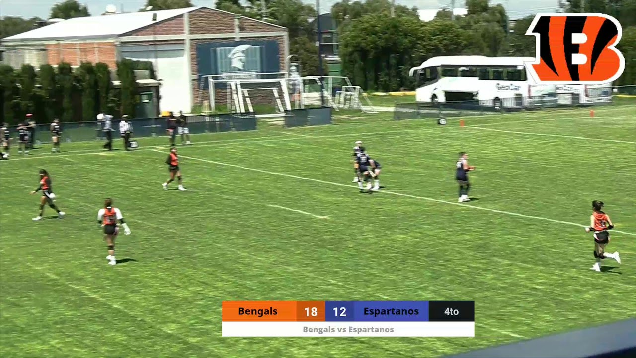 Bengals vs Espartanos