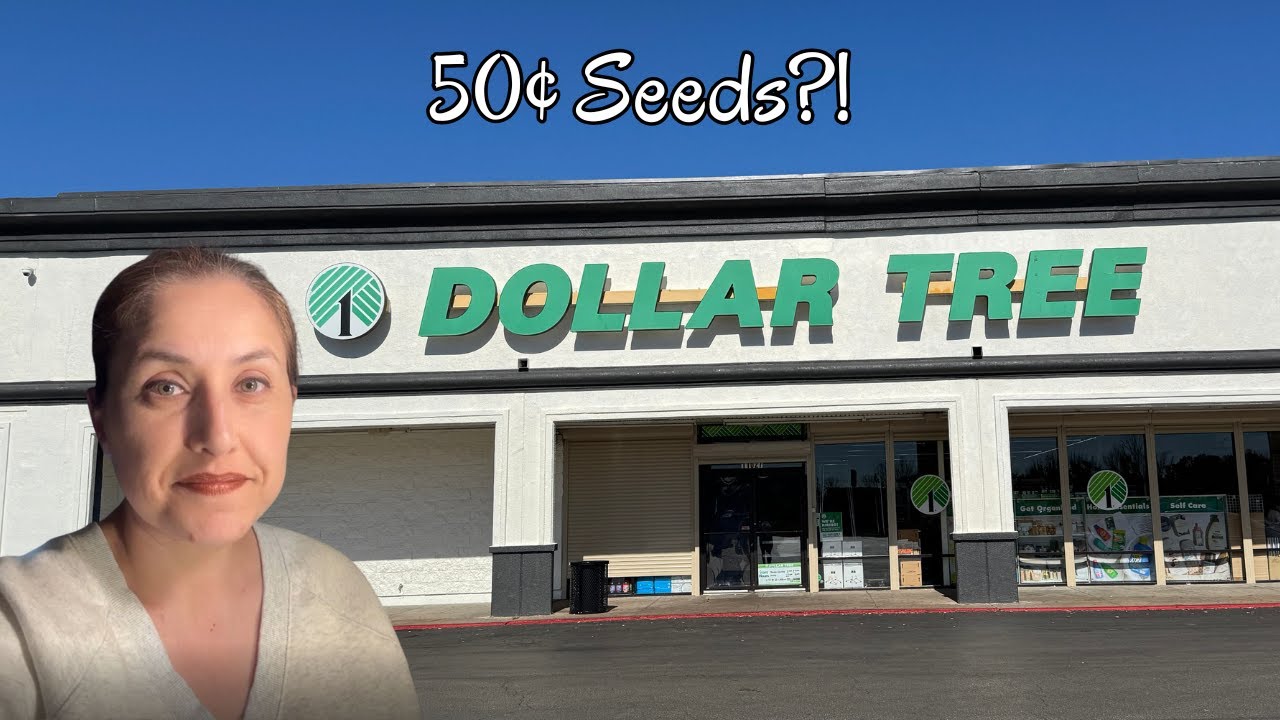 Testing Dollar Tree Seeds vs Online Seeds (11-Day Growth Update Included)
