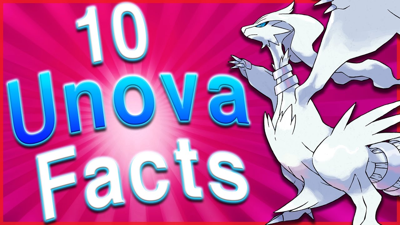 10 Interesting Facts About the Unova Region!