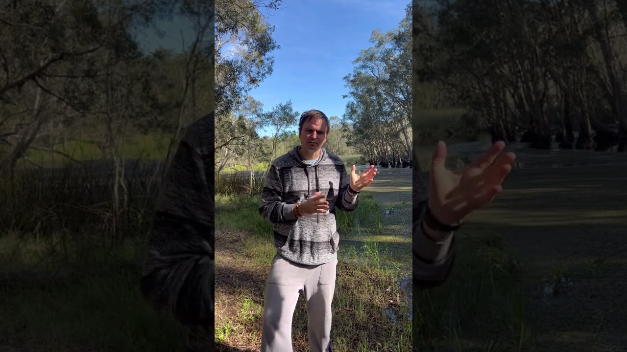 What regenerative beekeeping means to us. Beekeeping for beginners Australia
