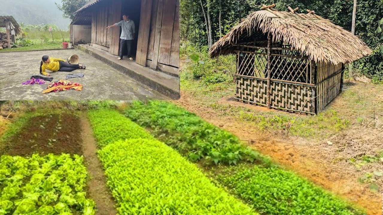 2 year build life alone in the forest, Building bamboo Cabin - Making beds, gardening, water pull...