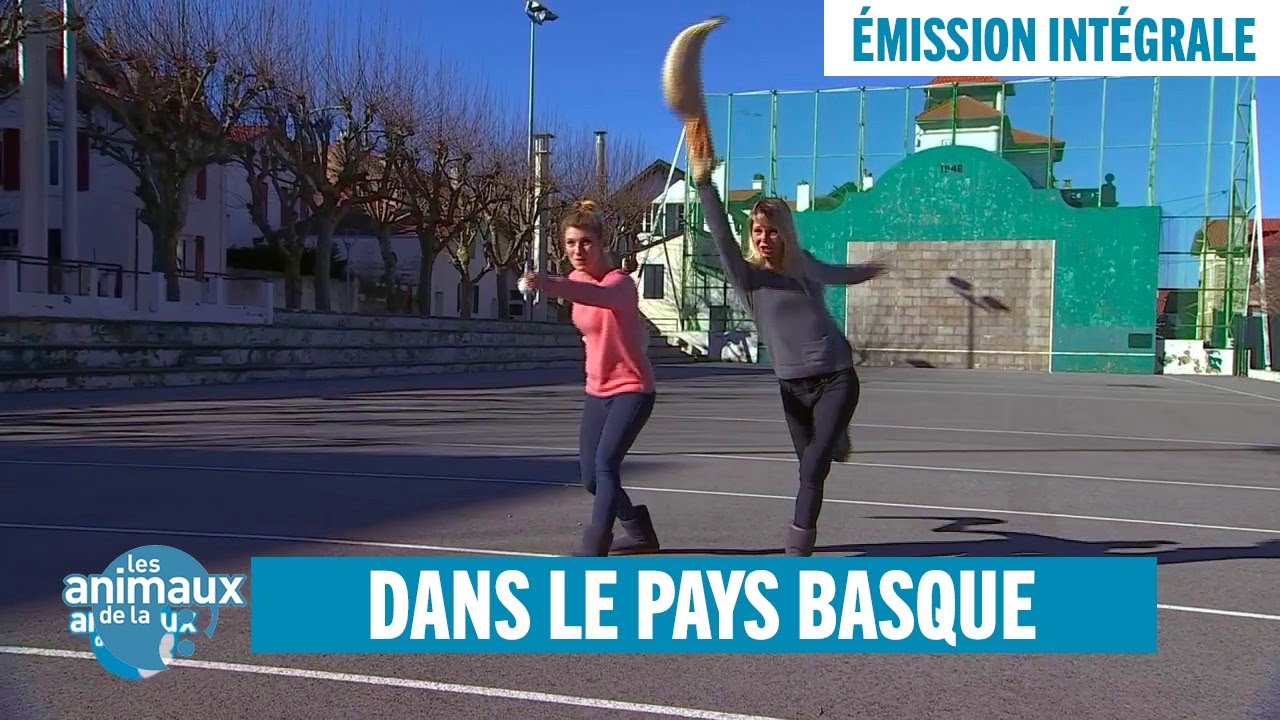 Phoques, poulpes et brebis, on part à Biarritz - Émission intégrale