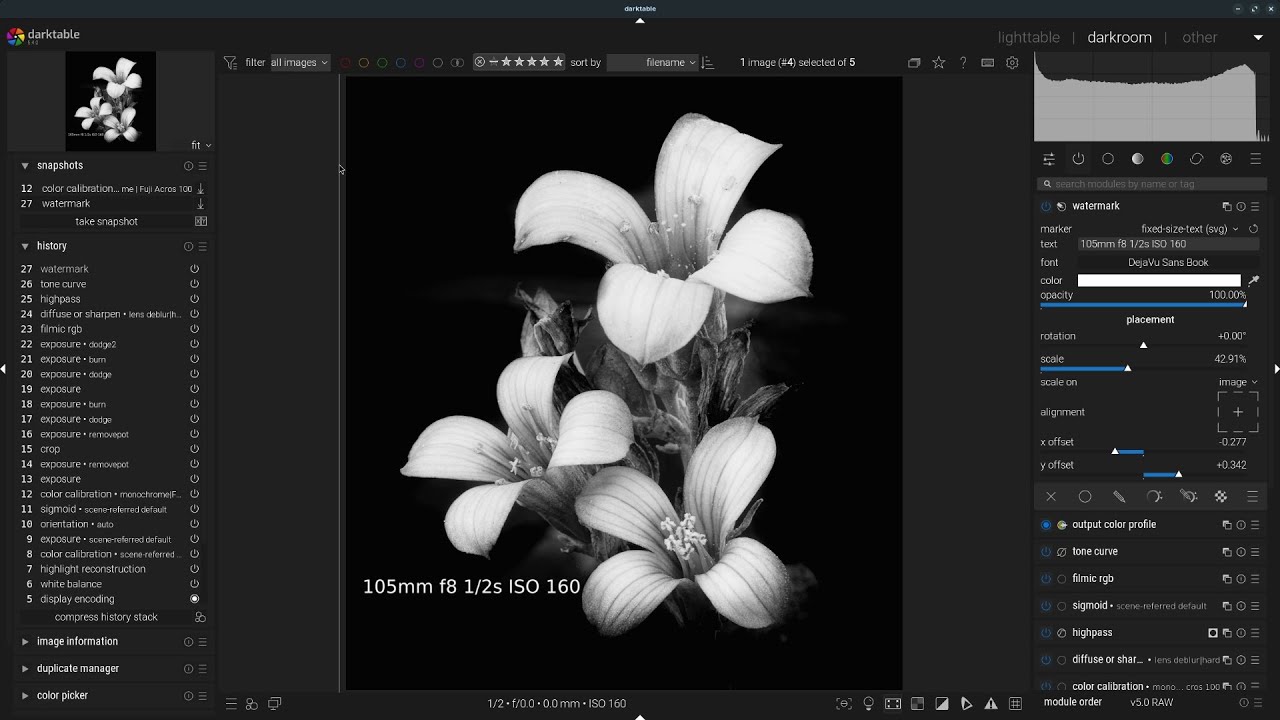 Photo edit 5.   Simplified black and white in Darktable.