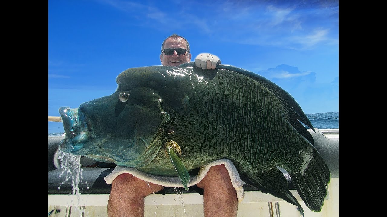 Emeraude Fishing - Popping & Jigging - X-trem - Season 2018
