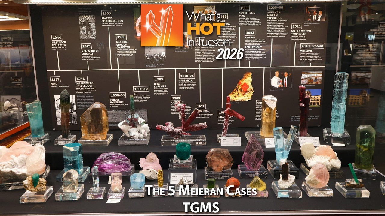 2026 Meieran Cases @ TGMS - Что нового в Тусоне: 2026 LIVE