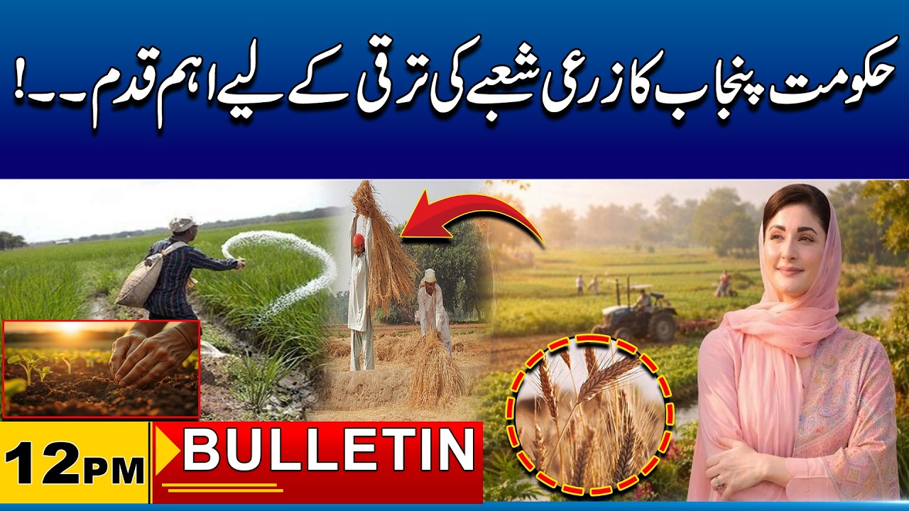 12PM News Bulliten I 25 Feb 2026 I City 41