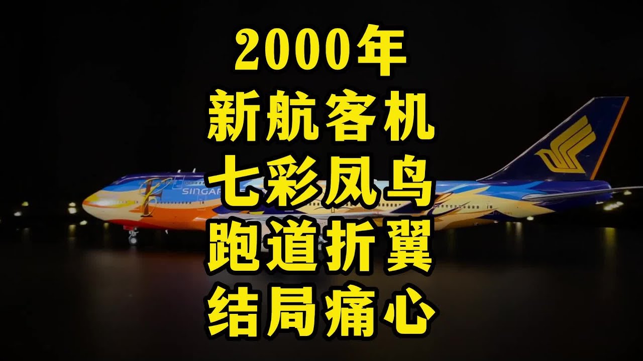 2000年新加坡航空上错跑道导致空难模拟还原。 #空难 #飞机