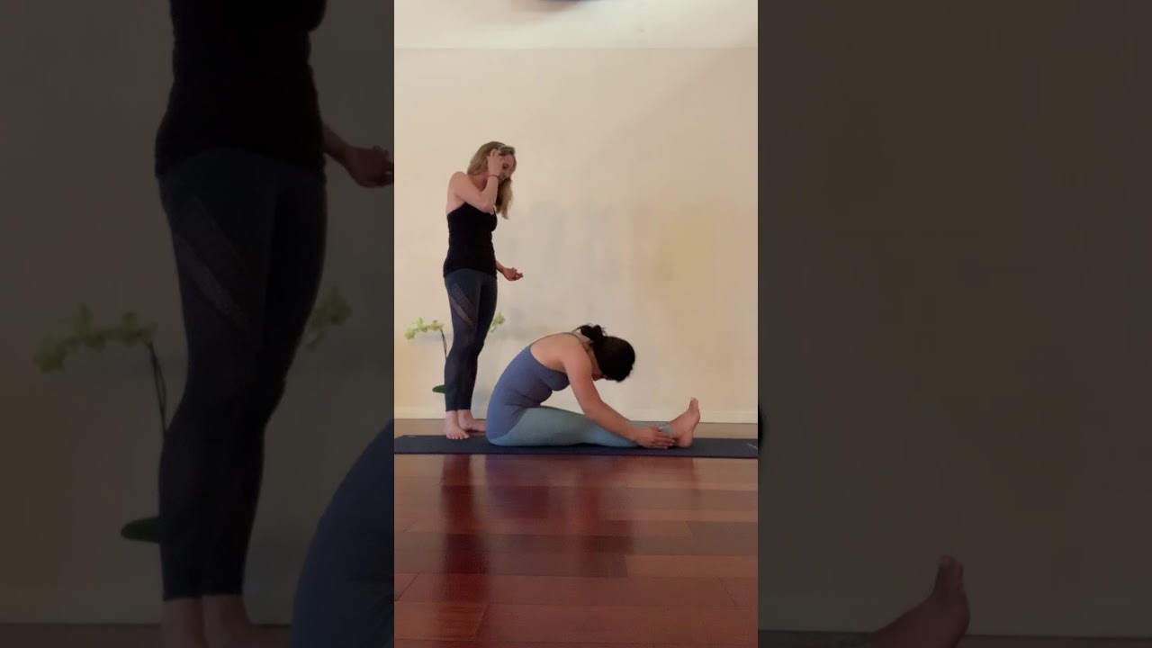 Hands On Assists for Yoga: Seated Forward Folds Assists