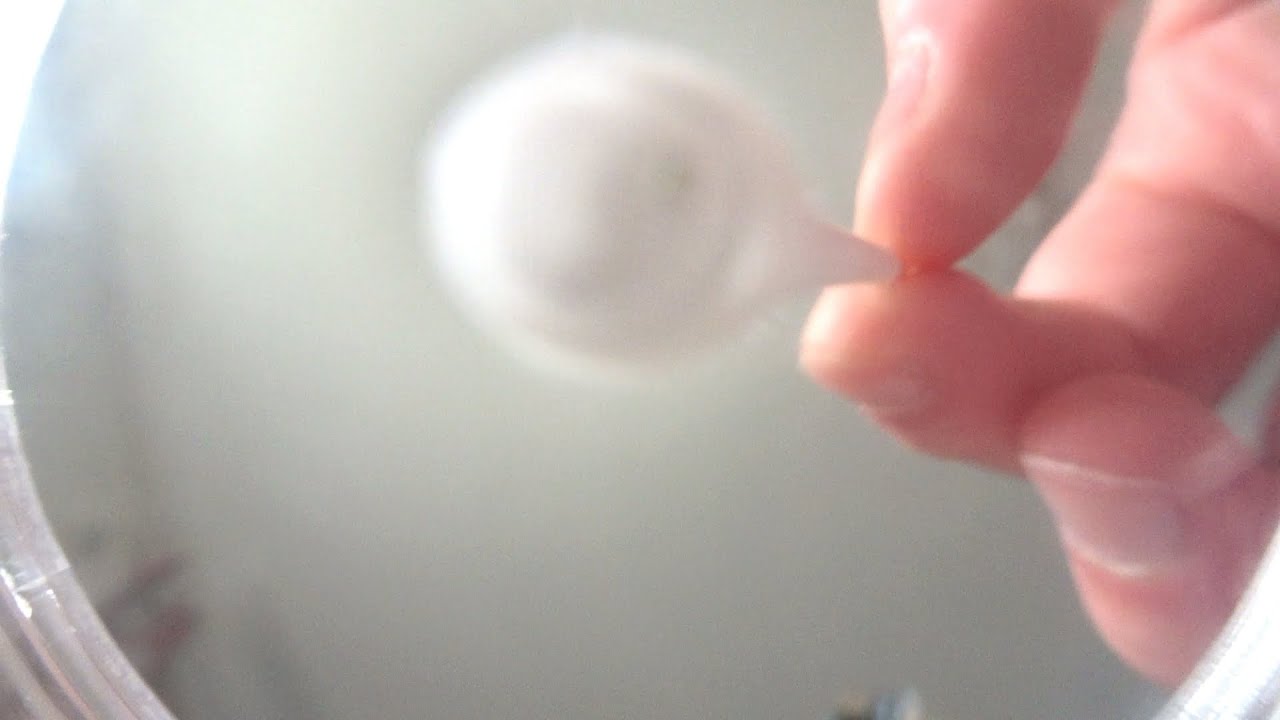 ASMR Cleaning My Digital Camera Lens 📷