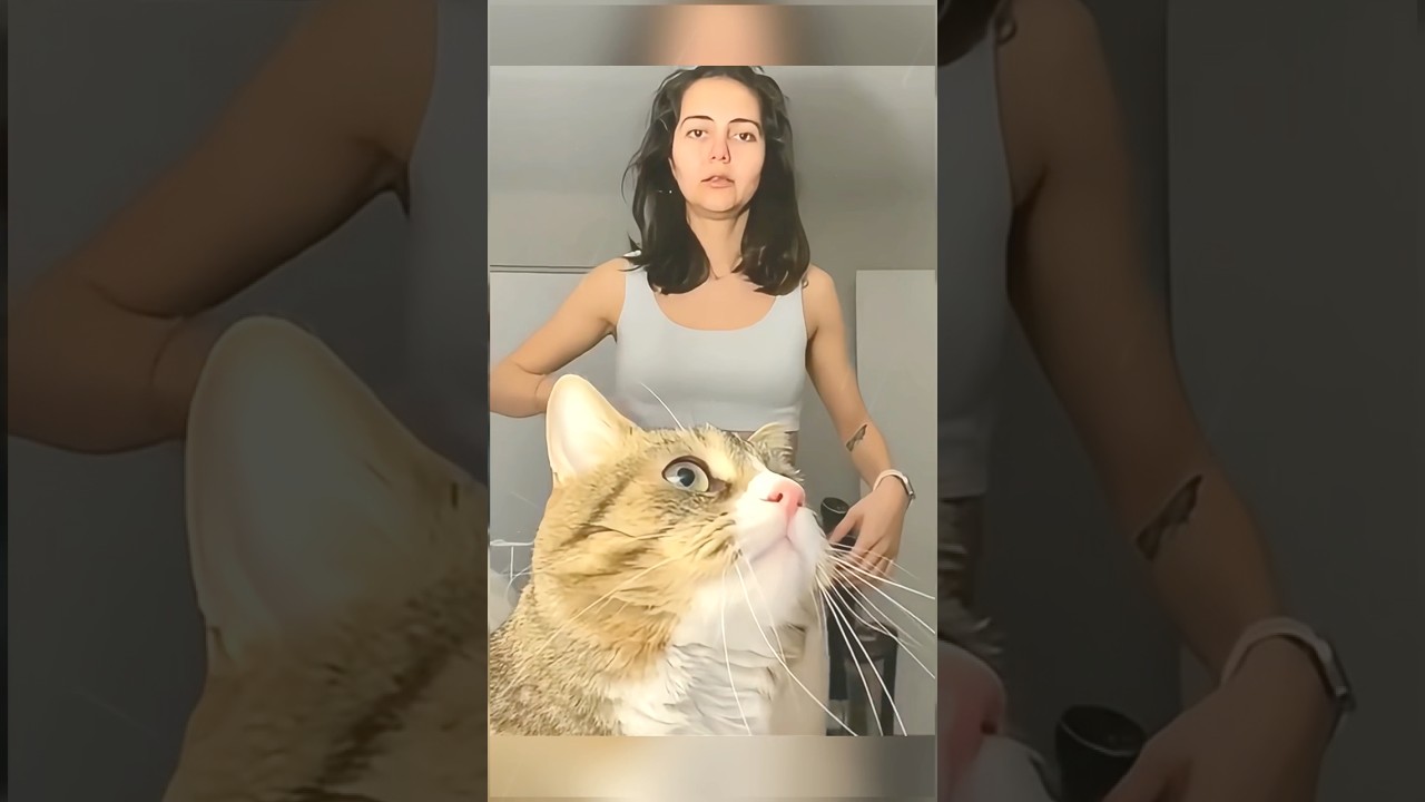 Коты смотрят в камеру 😂😂#смешныекоты #смешно #кошка #питомцы #шорты