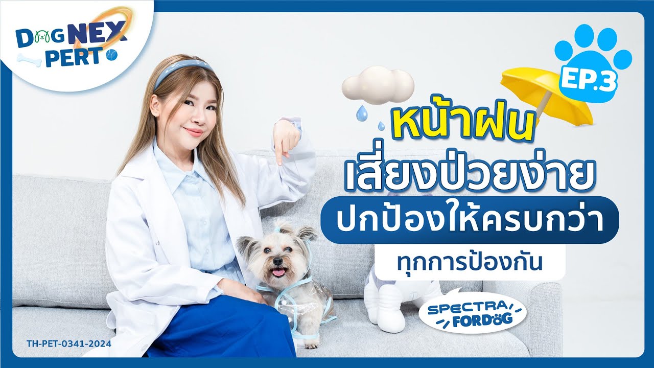 Dog NEXPert EP. 3 หน้าฝนเสี่ยงป่วยง่าย ปกป้องให้ครบกว่าทุกการป้องกัน