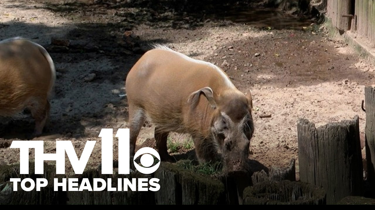 Arkansas's top news stories | July 26, 2026