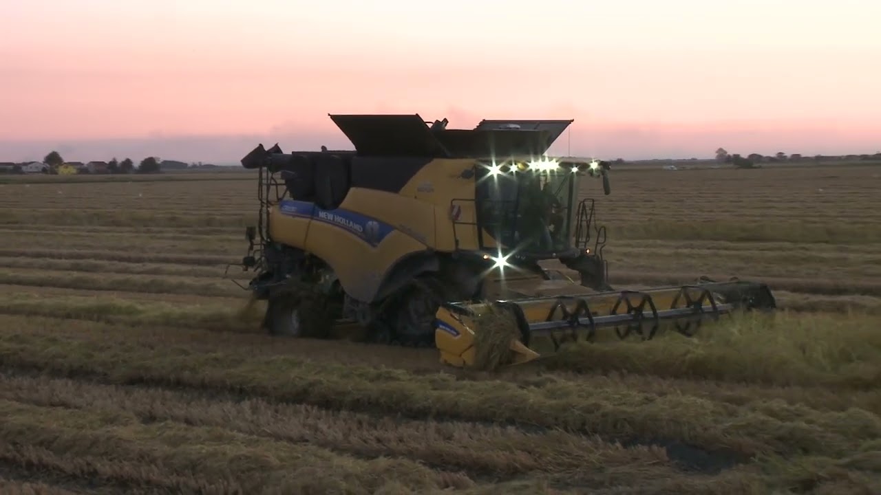 Riso carnaroli. New Holland CR 10 90 Ferrara  2022