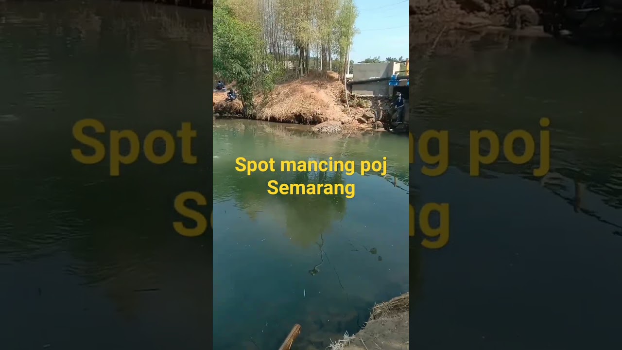 spot mancing adem nyaman poj city semarang