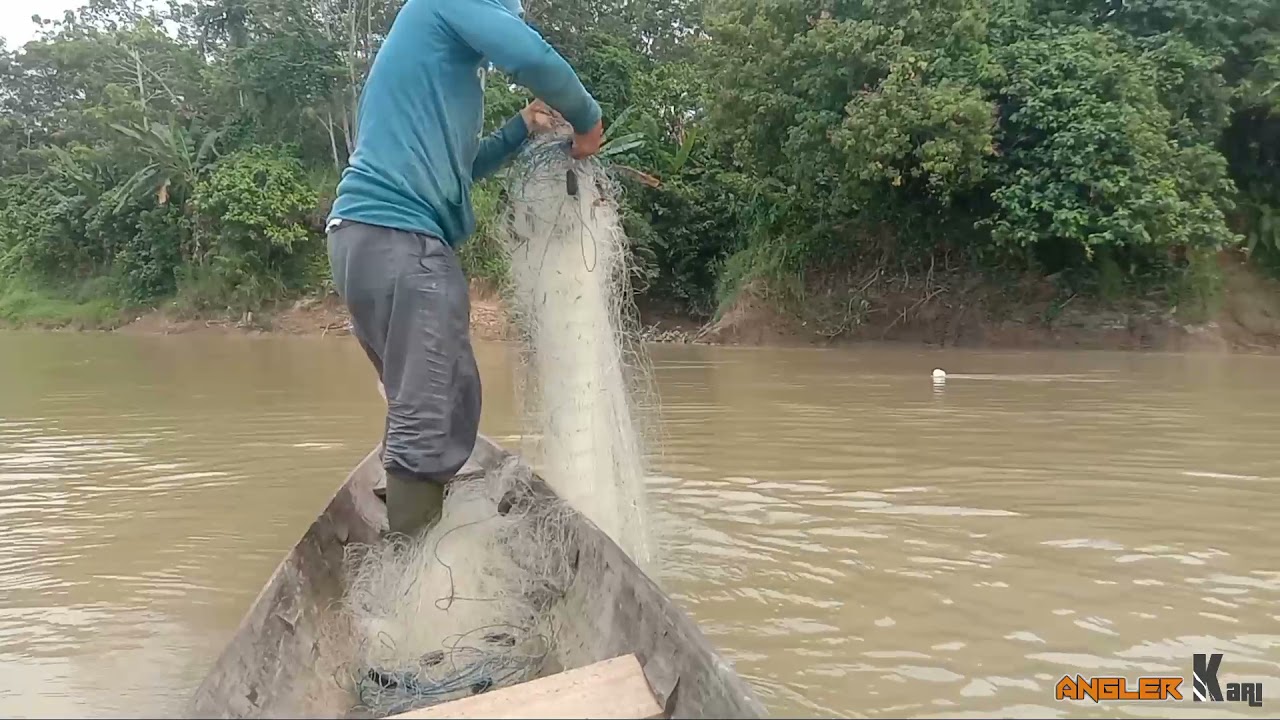 Menjaring ikan di sungai dengan pukat hanyut